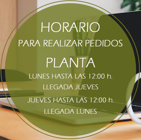 Horario de pedidos de planta